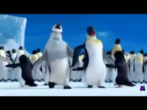 The penguin song happy birthday video